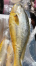 GUO LIAN國聯(lián)三去黃花魚(yú)2條共凈重2斤寧德東海大黃魚(yú)去鱗去鰓去內臟年貨節 曬單實(shí)拍圖