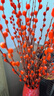 銀柳真花擺件室內客廳鮮花綠植新年年宵花卉植物過(guò)年春節渠道 套裝【60厘米20支+花瓶+掛件】 曬單實(shí)拍圖