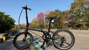 大行（DAHON）折疊自行車(chē)20英寸8級變速經(jīng)典P8單車(chē)KBC083 灰黑截色【JD定制】 曬單實(shí)拍圖