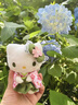 三麗鷗（SANRIO）日本京都限定和服包包掛件hellokitty書(shū)包掛飾毛絨玩偶女生小公仔 現貨抹茶綠和服KT 曬單實(shí)拍圖