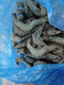 藍湃 生鮮蝦類(lèi)海蝦大蝦冷凍蝦超大白對蝦海鮮冰凍蝦包裝凈重約400g 凍蝦600g/ 盒/凈重400g 9-11cm 曬單實(shí)拍圖