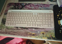 羅技（Logitech）時(shí)尚系列 K580 鍵盤(pán) 藍牙鍵盤(pán) 辦公鍵盤(pán) 無(wú)線(xiàn)鍵盤(pán) 便攜超薄鍵盤(pán) 筆記本鍵盤(pán) 平板鍵盤(pán)  茱萸粉 曬單實(shí)拍圖
