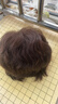 瑞貝卡（Rebecca）假發(fā)女全真人發(fā)絲蓬松飽滿(mǎn)服帖短發(fā)紋理小卷整頂假發(fā)頭套 深棕色 短發(fā) 曬單實(shí)拍圖