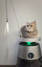 追覓寵物空氣凈化器強力吸貓毛吸附神器除浮毛室內除螨除塵除過(guò)敏原家用除異味養貓專(zhuān)用AP10送逗貓工具 曬單實(shí)拍圖