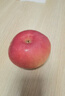 山西平陸煙富9號10號蘋(píng)果脆甜多汁紅富士蘋(píng)果當季水果蘋(píng)果凈重8斤 80mm以上 曬單實(shí)拍圖