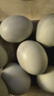 峪農山綠殼烏雞蛋農家散養綠殼蛋蟲(chóng)草蛋小時(shí)候的味道兒童孕婦可食 40枚綠殼雞蛋 曬單實(shí)拍圖