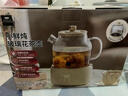 WORLD KITCHEN美國康寧全玻璃養生壺恒溫壺煮茶壺煮茶器1L辦公室花茶壺燒水壺煮水壺0膠和0拼接（茶漏燉盅款） 曬單實(shí)拍圖