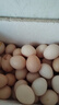 口袋飽飽農場(chǎng)直發(fā)土雞蛋鮮雞蛋農村五谷喂養生鮮買(mǎi)菜單枚40g 正宗土雞蛋50枚 曬單實(shí)拍圖