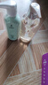 準孕婦沐浴露洗發(fā)水洗護套裝去屑洗發(fā)露準孕期清潔去屑舒緩套裝 曬單實(shí)拍圖