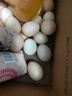 京鮮生 無(wú)抗保潔鮮雞蛋30枚/盒 健康輕食 禮盒送禮 1.5kg/盒 源頭直發(fā) 曬單實(shí)拍圖