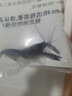 噢水噢觀(guān)賞蝦鰲蝦寵物蝦彩色蝦藍色活體蝦辦公室飼養小龍蝦天空藍魔蝦貳 人工天空藍魔4厘米1只 曬單實(shí)拍圖