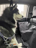 墨悠悠modely車(chē)載床墊狗狗貓咪寵物墊專(zhuān)用汽車(chē)狗窩睡覺(jué)外出適用于 黑色【有硬板可躺人】 21款-24款特斯拉modely 曬單實(shí)拍圖