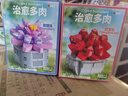 費米（Femibox）兼容樂(lè )高兒童拼裝積木玩具花擺件生日禮物多肉-露娜蓮S(chǎng)2280 曬單實(shí)拍圖