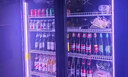 獵鋼狼酒水展示柜冷藏網(wǎng)紅啤酒柜超市便利店冰箱冰柜商用酒吧酒水柜輕奢無(wú)邊框風(fēng)冷無(wú)霜飲料柜 雙門(mén)酒水柜1100*600*1830輕奢網(wǎng)紅三色燈 輕奢豪華款【鍍膜防霧+變頻節能】 曬單實(shí)拍圖