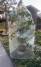 悠梵萌植物防寒保暖罩綠植保溫袋透明塑料膜冬天防凍保護罩1.8m*2m2個(gè)裝 曬單實(shí)拍圖