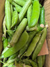 新鮮豌豆四川帶殼青豆角水果甜豆莢農家蔬菜 新鮮青豌豆莢凈重1斤 曬單實(shí)拍圖