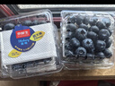 京鮮生云南藍莓當季 12盒超大果22mm+裝 125g/盒 生鮮水果 源頭直發(fā) 曬單實(shí)拍圖