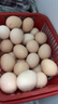 口袋飽飽農場(chǎng)直發(fā)土雞蛋鮮雞蛋農村五谷喂養生鮮買(mǎi)菜單枚40g 正宗土雞蛋50枚 曬單實(shí)拍圖