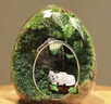 綠蔭巷子苔蘚微景觀(guān)生態(tài)瓶私人草坪桌面迷你盆栽辦公室創(chuàng  )意教師節禮物神奇 【成品】蛋殼微景C款+房門(mén)+龍貓 曬單實(shí)拍圖