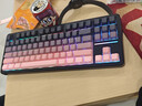 前行者【立省15%】X87Pro/Ultra無(wú)線(xiàn)機械鍵盤(pán)有線(xiàn)藍牙三模gas客制化游戲電競磁軸辦公專(zhuān)用側刻電腦筆記本 黑莓粉側刻Max-筋斗云軸-1萬(wàn)mAh 曬單實(shí)拍圖