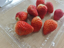 京鮮生 紅顏奶油草莓 3斤裝 60-72顆 單果18g+ 水果 春節也送貨 曬單實(shí)拍圖