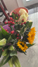 芊芊細語(yǔ)斗南基地直批發(fā)玫瑰鮮花全國速遞配送女友禮物家用水養插花家庭 5朵隨機百合+5支香檳玫瑰+2支向日葵+紅豆 曬單實(shí)拍圖