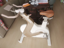 飛利浦家用動(dòng)感單車(chē)智能自發(fā)電健身器材減肥運動(dòng)室內自行車(chē)小金鹿3102B 曬單實(shí)拍圖