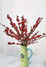 精品進(jìn)口北美冬青鮮切枝水培植物鮮花束紅果水養室內年宵花卉真花 北美冬青鮮切枝高40-45cm《5支》 曬單實(shí)拍圖
