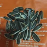 洽洽口口香原味香瓜子葵花籽大顆粒宿舍網(wǎng)紅休閑零食小吃500g大包裝 曬單實(shí)拍圖