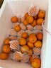 京覓四會(huì )砂糖橘新鮮水果柑橘沙糖桔 凈8.8斤 單果45-55mm源頭直發(fā)包郵 曬單實(shí)拍圖