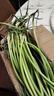 山東新鮮長(cháng)蒜苔生鮮蔬菜農家自種現摘蒜苔產(chǎn)地直發(fā) 新鮮長(cháng)蒜苔毛重  2斤 曬單實(shí)拍圖