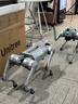 宇樹(shù)（Unitree）Go2 Air+遙控器版本 機器狗 AI大模型 四足機器人 仿生陪伴機器人 具身智能  電子寵物 高端禮物 曬單實(shí)拍圖