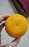 京覓江西贛南會(huì )昌桔柚9斤黃金貢柚 年貨甜橘子單果70mm+水果源頭直發(fā) 曬單實(shí)拍圖