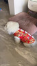 阿莫爾狗狗衣服新年唐裝冬季加厚保暖小型犬比熊泰迪博美過(guò)年喜慶龍袍裝 紅色金龍 XS（建議1-3斤 參考胸圍背長(cháng)） 曬單實(shí)拍圖