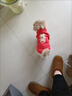 短云新年喜慶貓咪寵物衣服冬季加絨加厚保暖狗狗衣服布偶小型犬拜年潮 2026-紅色（1A3） S（建議2-4斤） 曬單實(shí)拍圖