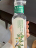 農夫山泉直播專(zhuān)享東方樹(shù)葉茉莉花茶900ml*12瓶無(wú)糖茶飲料0糖0脂0卡整箱裝 曬單實(shí)拍圖