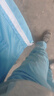 西仕盾 防靜電防塵服無(wú)塵 凈化潔凈防護工作服 藍色分體 4XL碼 曬單實(shí)拍圖
