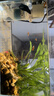 YEE超白魚(yú)缸桌面客廳生態(tài)斗金魚(yú)烏龜缸造景小型水草養魚(yú)玻璃裸缸40cm 曬單實(shí)拍圖