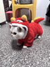 阿莫爾貓咪衣服喜慶紅色獅子連帽衣秋冬季保暖銀漸層布偶寵物狗狗四腳衣 新年喜慶紅獅 L【建議7-10斤 具體參考胸圍背長(cháng)】 曬單實(shí)拍圖