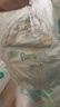 幫寶適（Pampers）清新幫拉拉褲嬰兒尿不濕紙尿褲彈力褲 L104片【清新幫拉拉褲】 曬單實(shí)拍圖