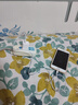 trendsetter適用蘋(píng)果充電器數據線(xiàn)5W套裝iphone 8/7/6/5/plus/se/xr/xs手機airpods/ipad藍牙耳機5V1A充電頭線(xiàn) 曬單實(shí)拍圖
