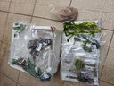 瘋狂水草懶人水草植物直接入缸火山石魚(yú)缸造景套餐20-40cm缸源頭直發(fā)包郵b 曬單實(shí)拍圖