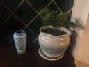 綠植花卉粗陶透氣陶罐多肉植物老樁特價(jià)清倉大口徑三角梅陶瓷花盆 花口綠泡 曬單實(shí)拍圖