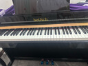海蒂詩(shī) 電鋼琴88鍵重錘電子鋼琴兒童初學(xué)幼師專(zhuān)業(yè)成人家用數碼立式鋼琴 P-313烤漆黑-藍牙-全重錘-配琴凳 曬單實(shí)拍圖