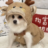 嬉皮狗（hipidog）小狗狗可愛(ài)小熊衣服秋季幼犬比熊泰迪雪納瑞中小型犬春秋寵物馬甲 洛米棕 XL （建議體重12-15斤） 曬單實(shí)拍圖