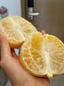 花農氏浙江慶元甜桔柚【順豐】麗水特產(chǎn)甜橘柚黃金貢柚新鮮水果年貨禮盒 10斤 精選大果【單果80mm+】禮盒 曬單實(shí)拍圖