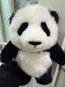 熊貓工廠(chǎng)官方大頭系列萌蘭花花仿真熊貓玩偶公仔毛絨玩具生日禮物送女生 【禮盒裝】大頭系列-萌蘭 常規款 曬單實(shí)拍圖