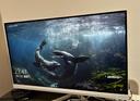 飛利浦EVNIA弈威27英寸 4K240Hz/480Hz雙模 舒視藍圓偏光護眼FastIPS HDMI/DP2.1 電競顯示器27M2N5801PK 曬單實(shí)拍圖