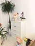 叩素鋼制五斗柜現代簡(jiǎn)約鐵藝儲物柜收納柜抽屜柜奶油風(fēng)落地多層抽屜柜 曬單實(shí)拍圖