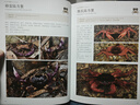 中國方沙蟹類(lèi)自然史 限量作者親簽版 贈送六大周邊文創(chuàng  ) 首部專(zhuān)注于中國方沙蟹類(lèi)物種的科普圖書(shū) 當當獨家首發(fā) 定制飛機盒發(fā)貨 中國方沙蟹類(lèi)自然史 曬單實(shí)拍圖